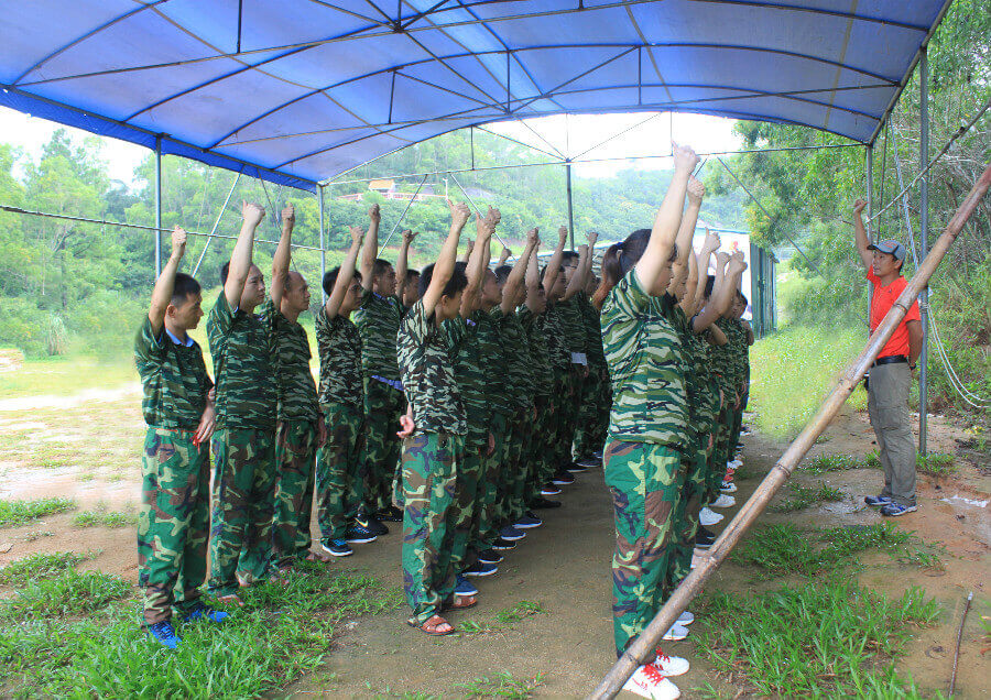 鸿发顺达公司精英